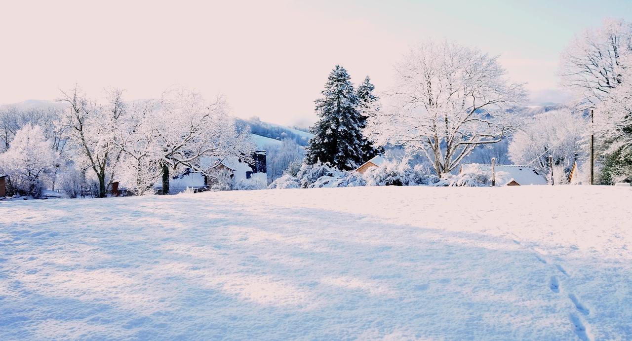Domaine Des Marequiers Chambre Silene Saint-Germain-du-Teil Exterior foto