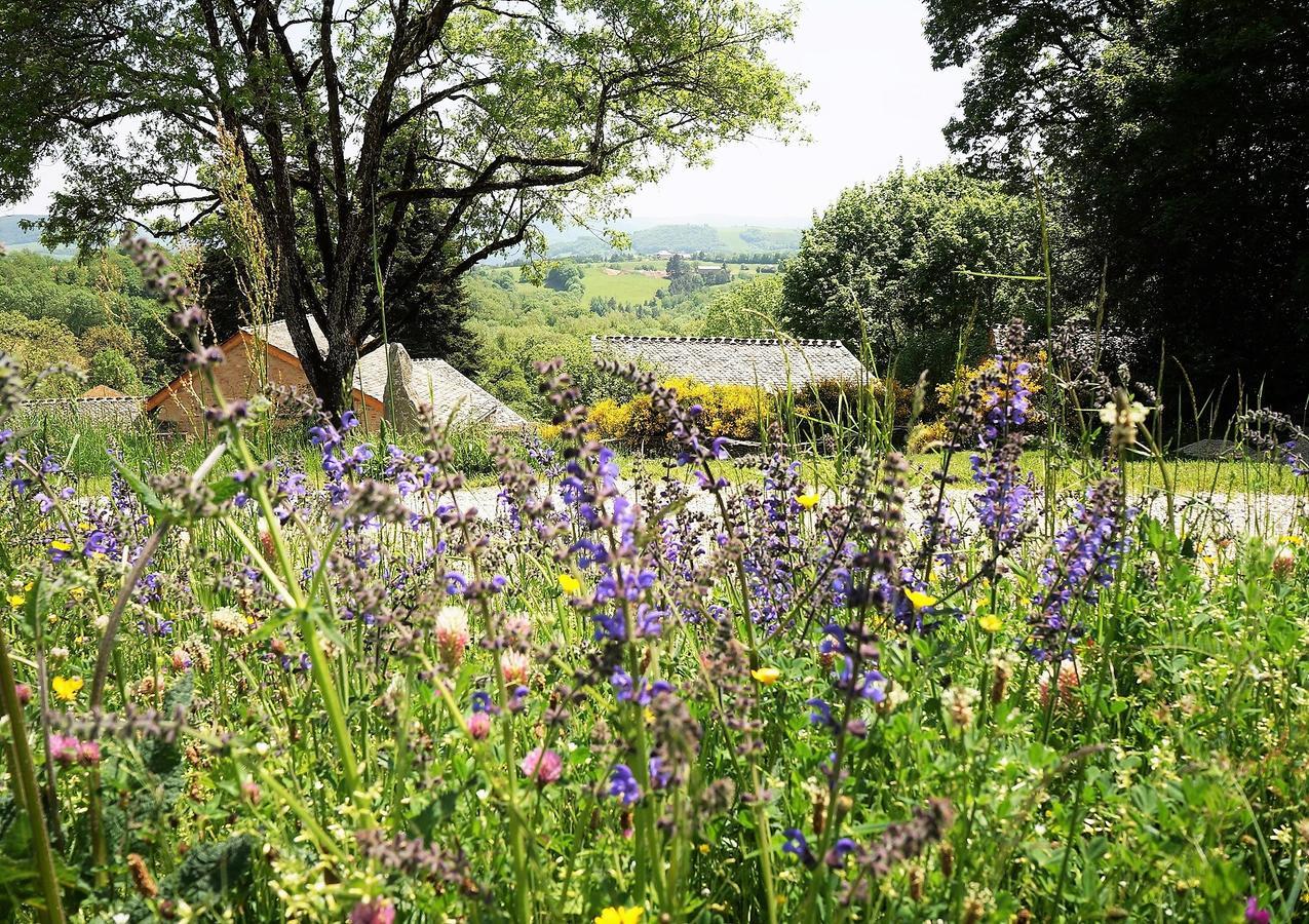 Domaine Des Marequiers Chambre Silene Saint-Germain-du-Teil Exterior foto